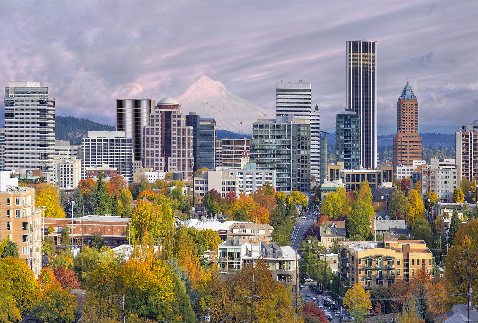 oregon new